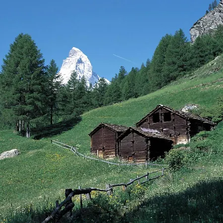 Rütschi-3 *